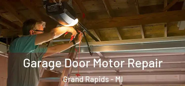 Garage Door Motor Repair Grand Rapids - MI