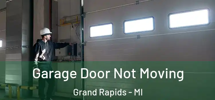  Garage Door Not Moving Grand Rapids - MI