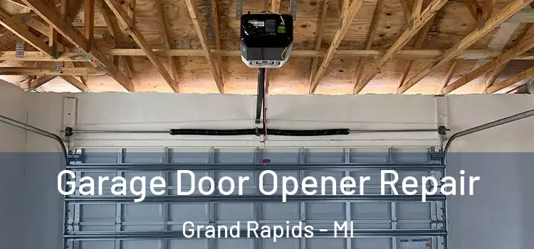  Garage Door Opener Repair Grand Rapids - MI
