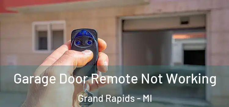  Garage Door Remote Not Working Grand Rapids - MI