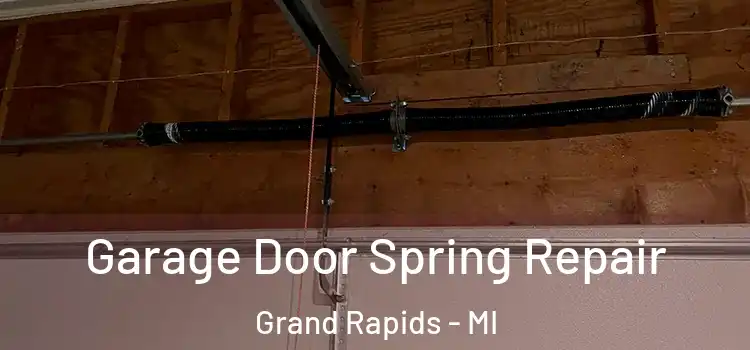  Garage Door Spring Repair Grand Rapids - MI
