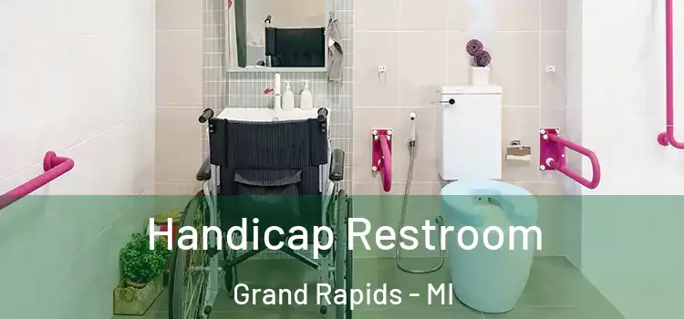  Handicap Restroom Grand Rapids - MI