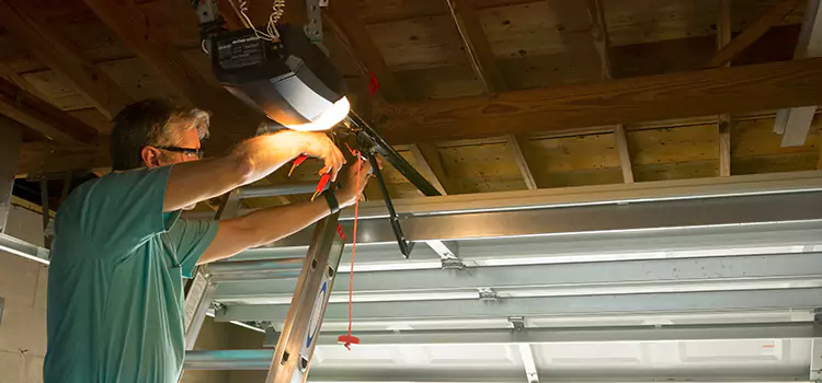 Garage Door Opener Sales and Installation Grand Rapids