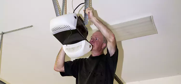 Garage Door Opener Service Grand Rapids