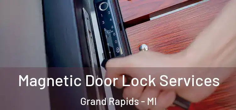 Magnetic Door Lock Services Grand Rapids - MI